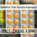 Apcalis Kamagra Oral Jelly levitra2